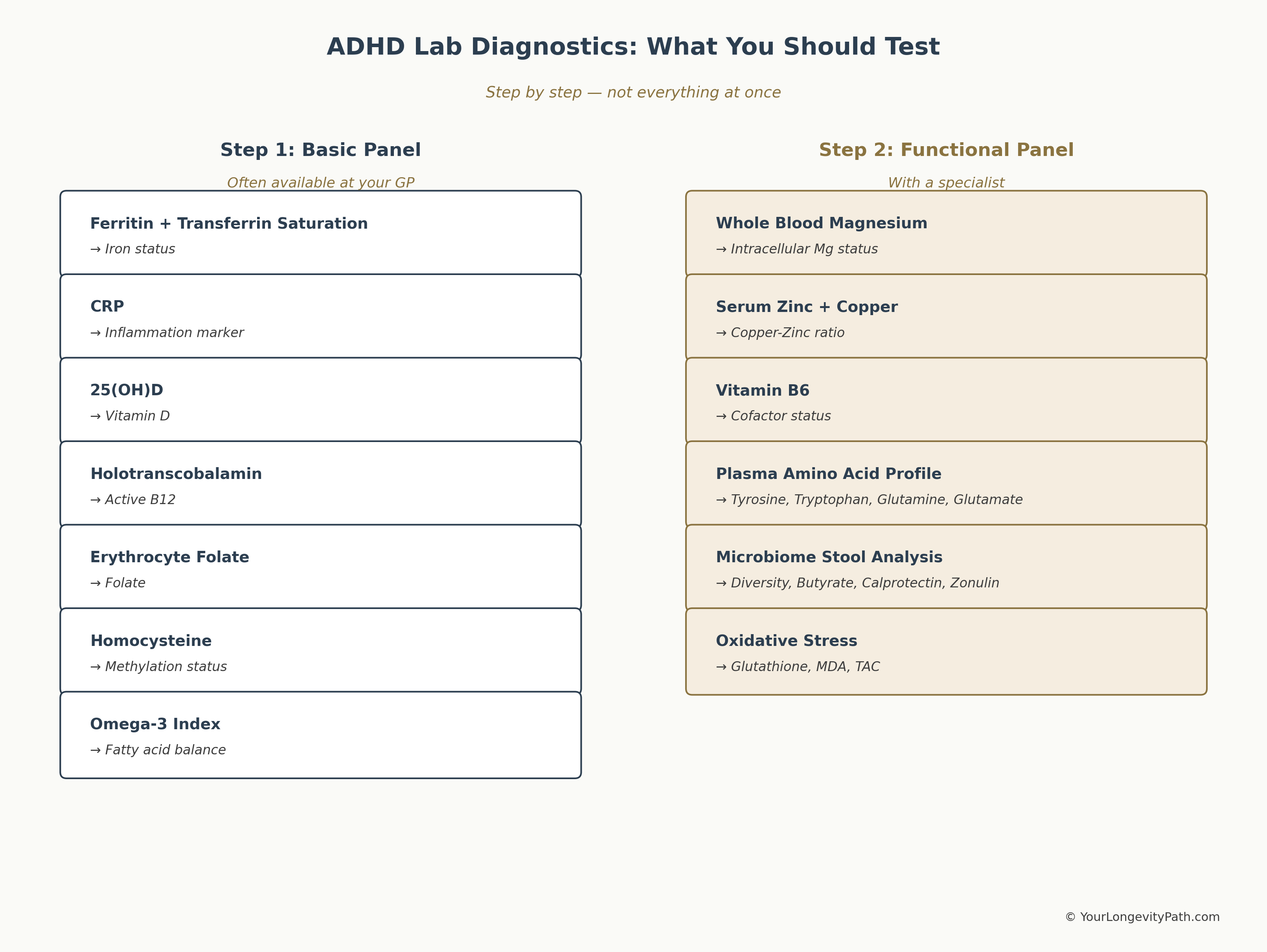 Infographic: ADHD lab diagnostics in two steps — left column Step 1 Basic Panel (ferritin, CRP, vitamin D, holotranscobalamin, erythrocyte folate, homocysteine, omega-3 index), right column Step 2 Functional Panel (whole blood magnesium, serum zinc and copper, vitamin B6, plasma amino acid profile, microbiome stool analysis, oxidative stress).