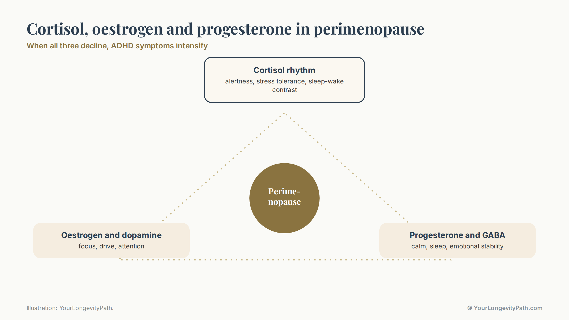 Infographic: three interlocking gears, or a triangle, with the axes oestrogen and dopamine (focus, drive), progesterone and GABA (calm, sleep) and the cortisol rhythm (alertness, stress tolerance). In perimenopause all three change at the same time and reinforce each other.