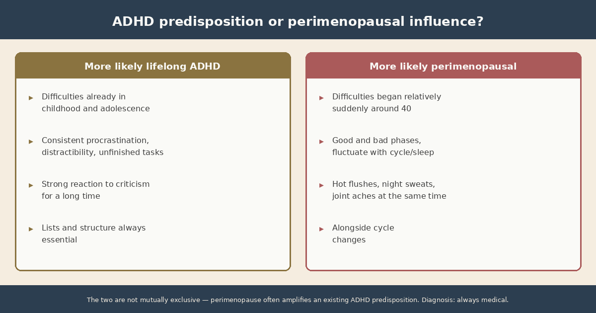 Infographic: Side-by-side comparison of signs pointing to a lifelong ADHD predisposition (difficulties already in childhood and adolescence, consistent procrastination and distractibility, strong reaction to criticism for a long time, lists and structure always essential) and signs pointing to a perimenopausal influence (difficulties began suddenly around 40, fluctuate with cycle and sleep, hot flushes and joint aches at the same time). Note: the two are not mutually exclusive, and diagnosis is always medical.
