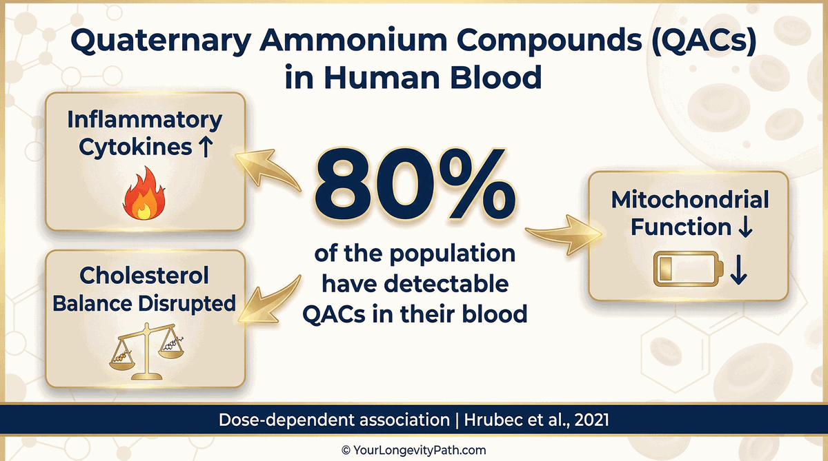80% of the population have detectable QACs in their blood: inflammatory cytokines, mitochondrial function, cholesterol