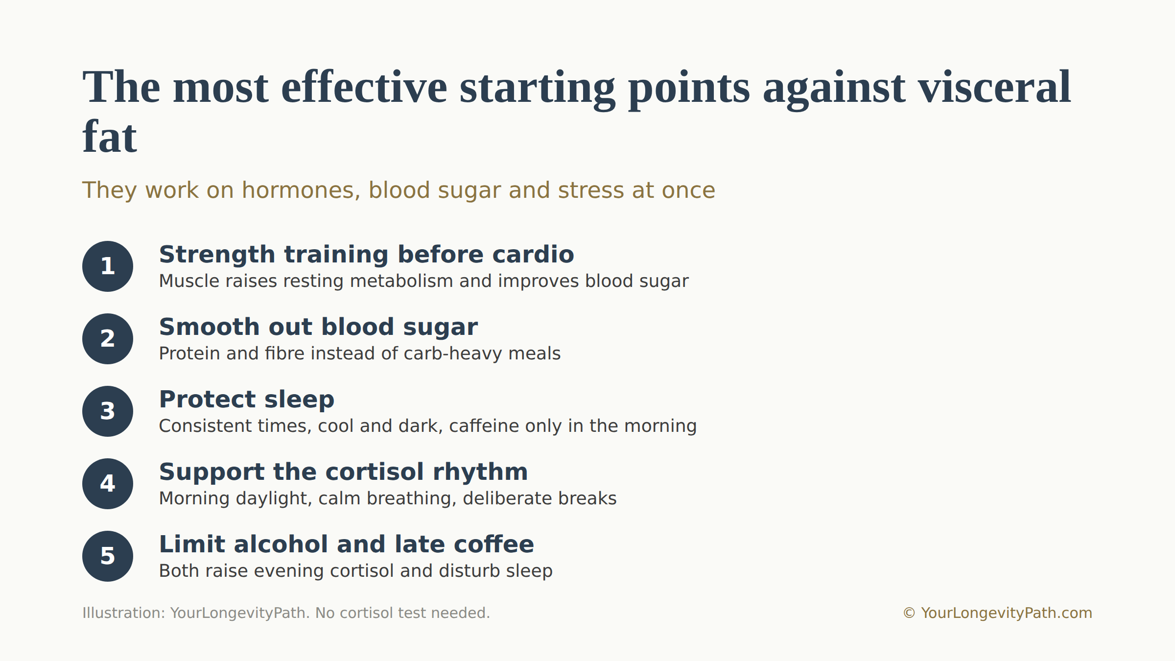 Infographic: five starting points against visceral fat as cards. Strength training, smooth blood sugar, protect sleep, support the cortisol rhythm, limit alcohol and late coffee. Below, the note: works on hormones, blood sugar and stress at once.