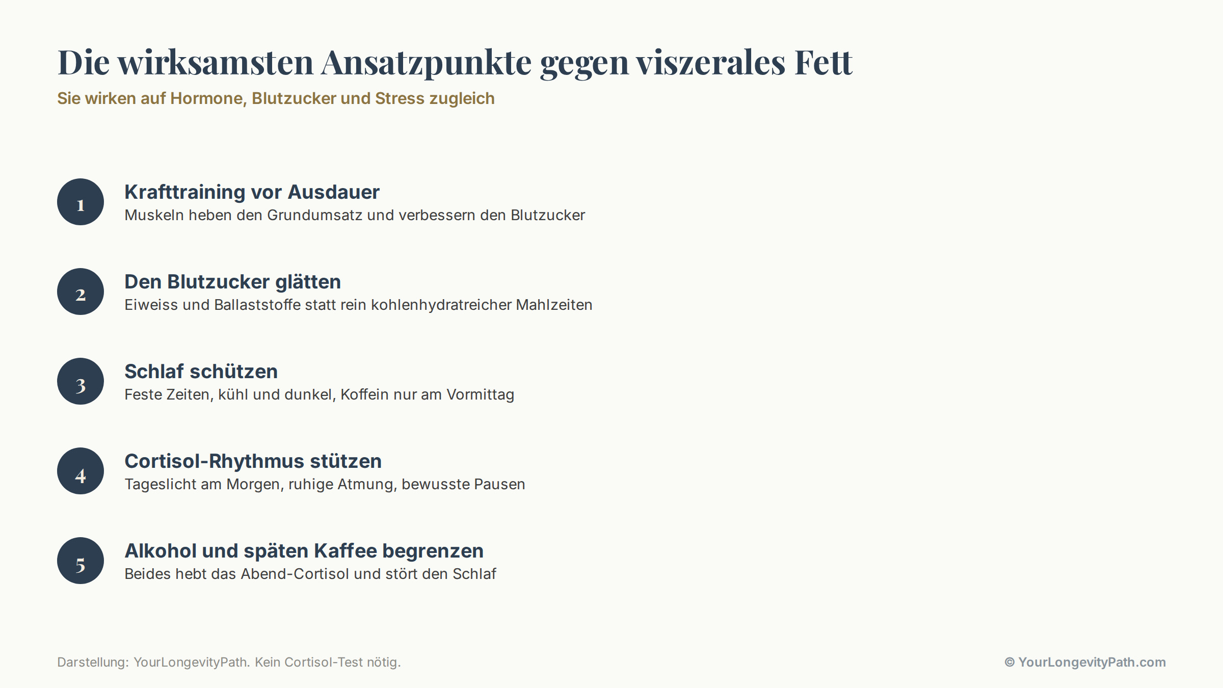 Infografik: Fünf Ansatzpunkte gegen viszerales Fett als Karten. Krafttraining, Blutzucker glätten, Schlaf schützen, Cortisol-Rhythmus stützen, Alkohol und späten Kaffee begrenzen. Unten der Hinweis: wirkt auf Hormone, Blutzucker und Stress zugleich.