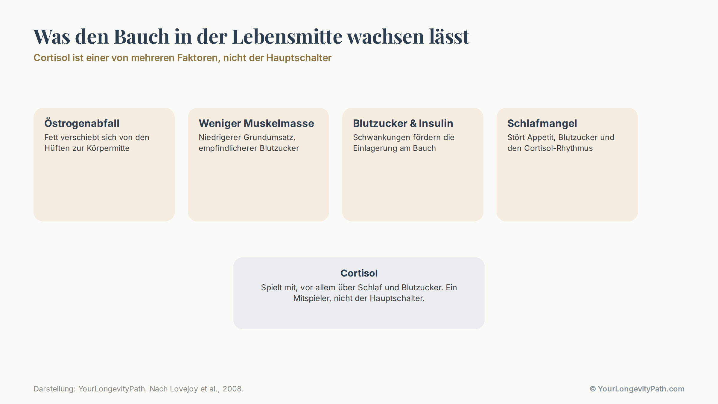 Infografik: Vier Treiber des Bauchs in der Lebensmitte als gleichwertige Karten. Östrogenabfall (Fett verschiebt sich zur Mitte), weniger Muskelmasse (niedrigerer Grundumsatz), Blutzucker und Insulin, Schlafmangel. Cortisol als fünfte, kleinere Karte am Rand mit der Beschriftung: ein Mitspieler, nicht der Hauptschalter.