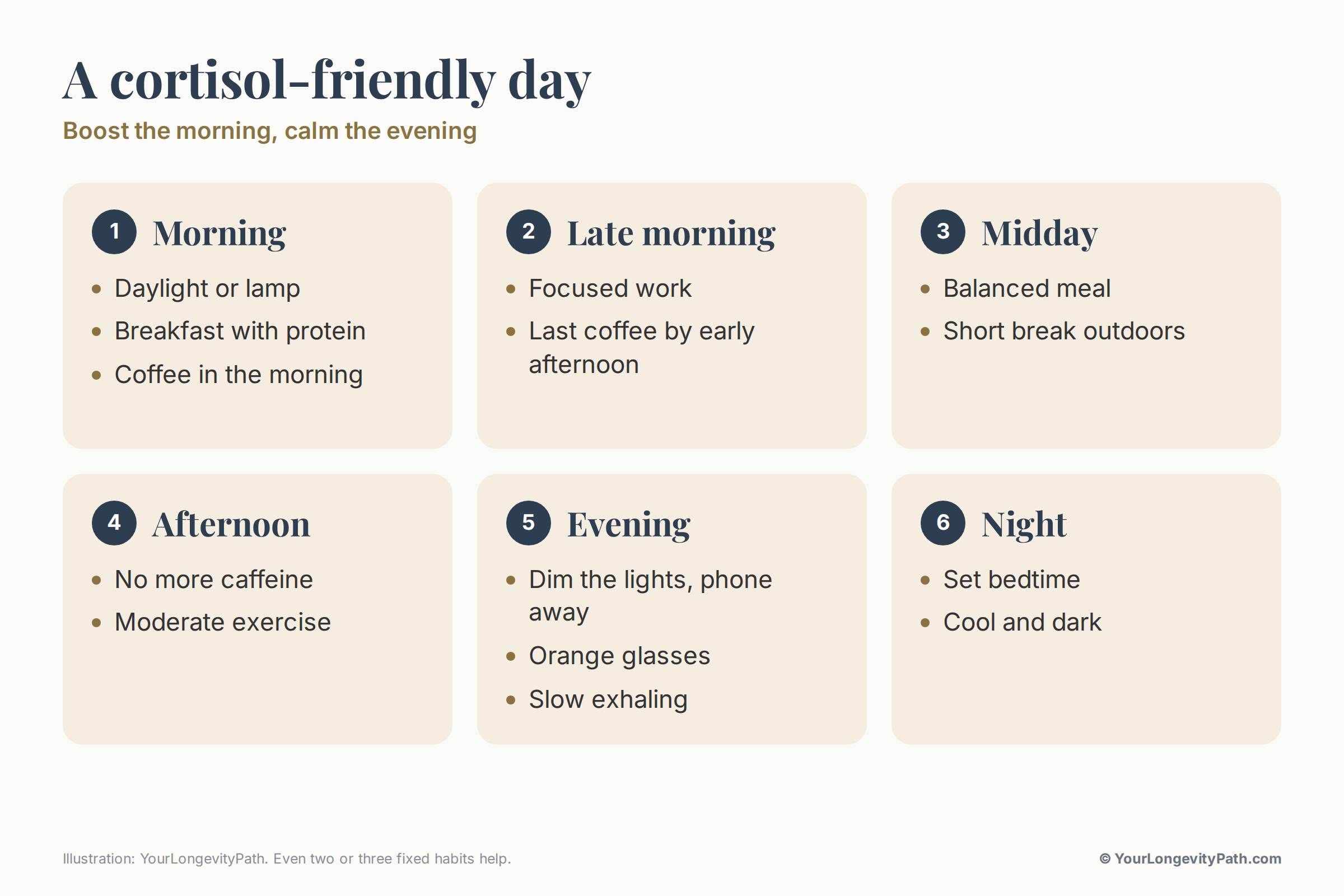 Infographic: a cortisol-friendly day in six steps. Morning: daylight or lamp, breakfast with protein, coffee in the morning. Late morning: focused work, last coffee by early afternoon. Midday: balanced meal, short break outdoors. Afternoon: no more caffeine, moderate exercise. Evening: dim the lights, phone away, orange glasses, slow exhaling. Night: set bedtime, cool and dark.