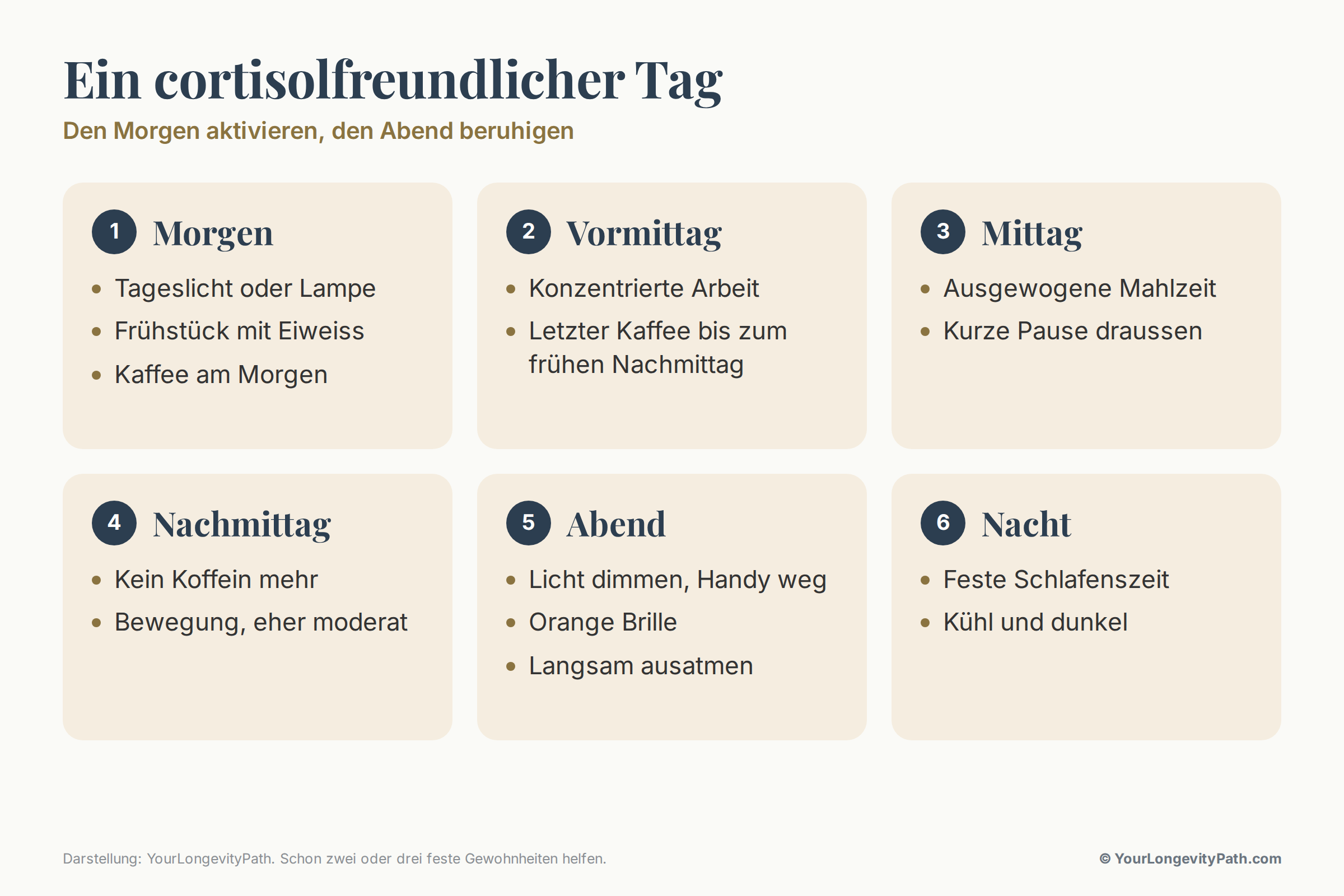 Infografik: Ein cortisolfreundlicher Tag in sechs Schritten. Morgen: Tageslicht oder Lampe, Frühstück mit Eiweiss, Kaffee am Morgen. Vormittag: konzentrierte Arbeit, letzter Kaffee bis zum frühen Nachmittag. Mittag: ausgewogene Mahlzeit, kurze Pause draussen. Nachmittag: kein Koffein mehr, moderate Bewegung. Abend: Licht dimmen, Handy weg, orange Brille, langsam ausatmen. Nacht: feste Schlafenszeit, kühl und dunkel.