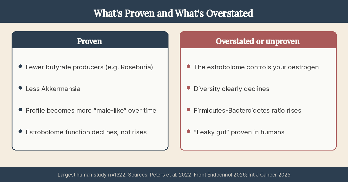 Infographic: Two-column comparison. Left "Proven": fewer butyrate producers such as Roseburia, less Akkermansia, the profile becomes more male-like over time, estrobolome function declines. Right "Overstated or unproven": the estrobolome controls oestrogen levels, diversity clearly declines, the Firmicutes-Bacteroidetes ratio rises, leaky gut is proven in humans.