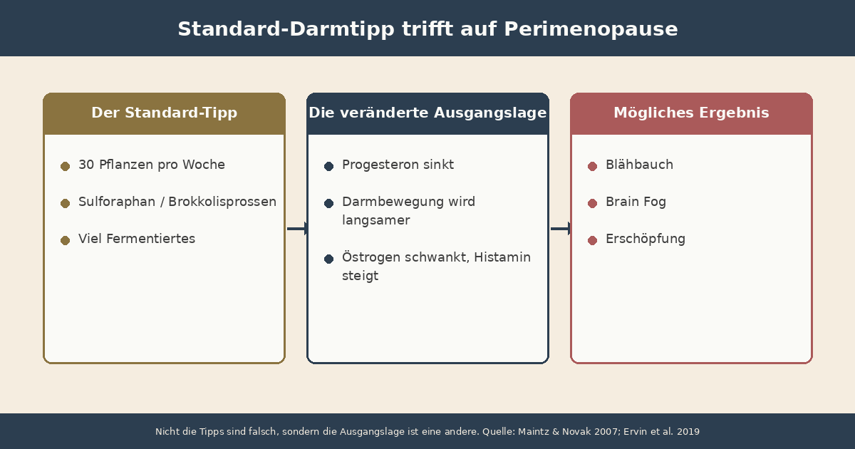 Infografik: Standard-Darmtipp trifft auf Perimenopause. Links die gängige Empfehlung (30 Pflanzen, Sulforaphan, fermentierte Lebensmittel), in der Mitte die veränderte Ausgangslage (Progesteron sinkt, Motilität verlangsamt, Östrogen schwankt, Histamin steigt), rechts das mögliche Ergebnis (Blähbauch, Brain Fog, Erschöpfung).