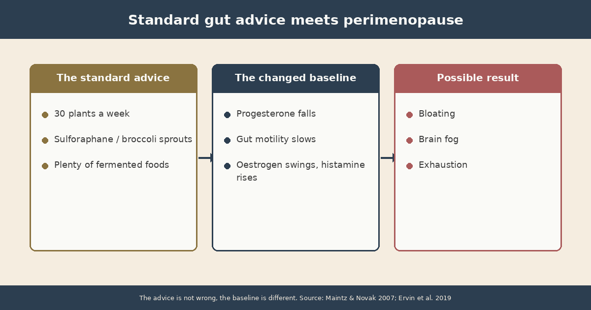 Infographic: Standard gut advice meets perimenopause. On the left the common recommendation (30 plants, sulforaphane, fermented foods), in the middle the changed baseline (progesterone falls, motility slows, oestrogen fluctuates, histamine rises), on the right the possible result (bloating, brain fog, exhaustion).