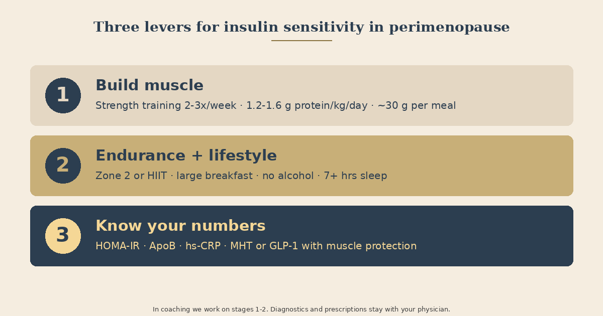 Infographic: Three levers for insulin sensitivity in perimenopause. Stage 1 build muscle (strength training 2-3x/week, 1.2-1.6 g protein/kg/day, 30 g per meal). Stage 2 endurance and lifestyle (zone 2 or HIIT, large breakfast, no alcohol, 7+ hours of sleep). Stage 3 know your numbers and work with your physician (HOMA-IR, ApoB, hs-CRP, possibly MHT or medication).