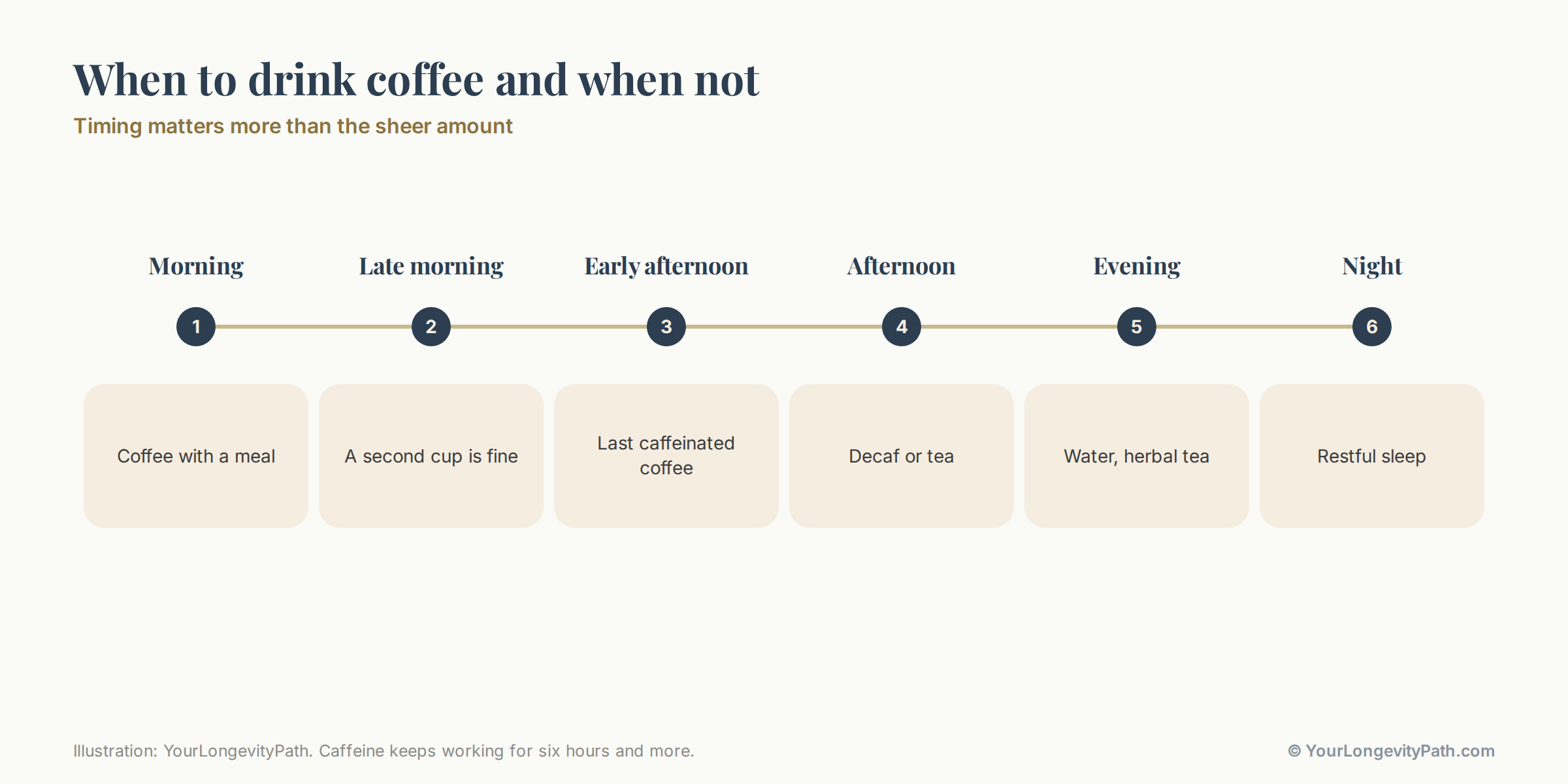 Infographic: timeline of when coffee makes sense during the day. Morning: coffee with a meal, when cortisol is high. Late morning: a second cup is fine. Early afternoon: last caffeinated coffee. Afternoon and evening: decaf, tea or water. That keeps the evening calm.