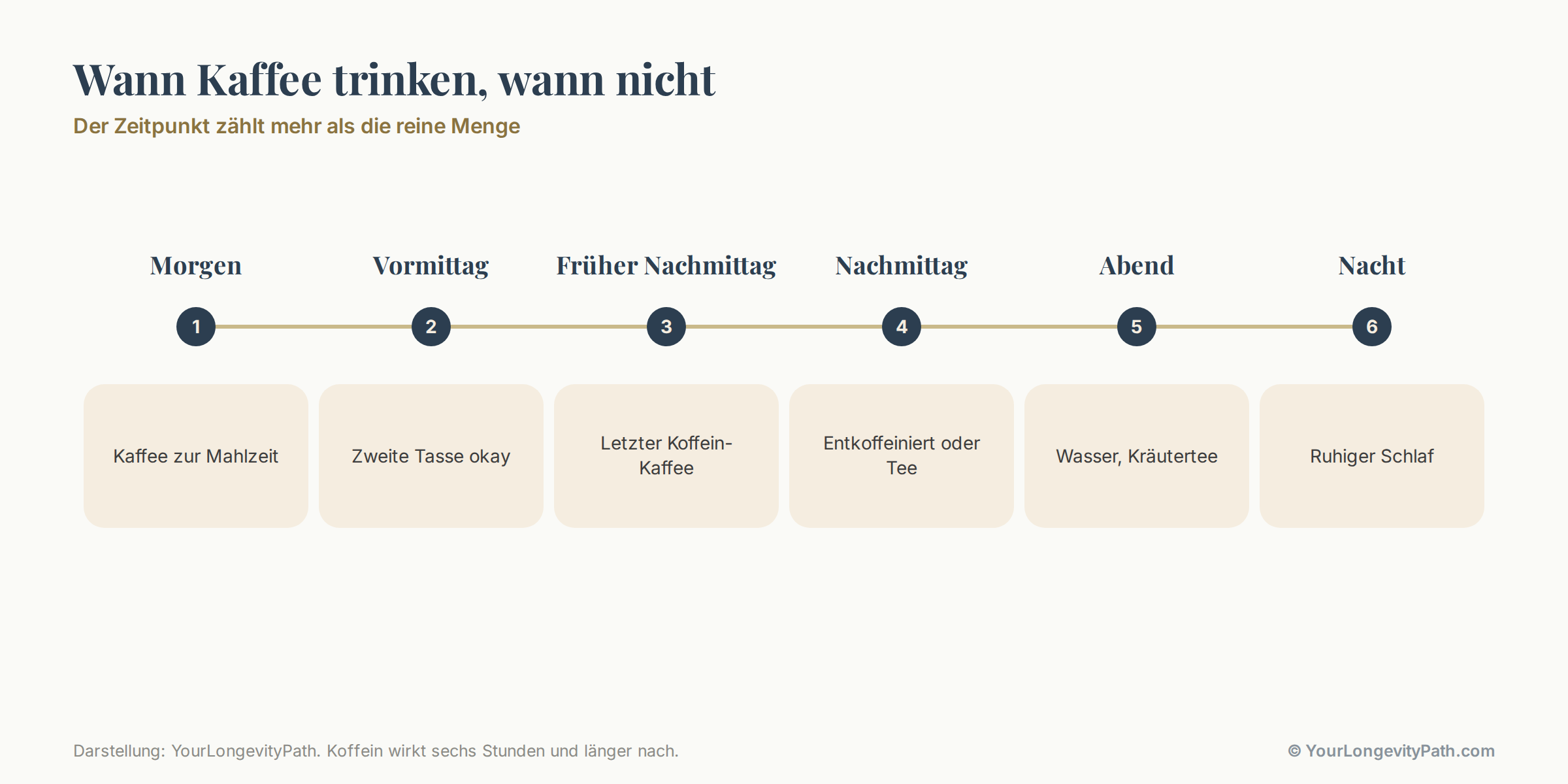 Infografik: Zeitleiste, wann am Tag Kaffee sinnvoll ist. Morgen: Kaffee zur Mahlzeit, wenn Cortisol hoch ist. Vormittag: zweite Tasse okay. Früher Nachmittag: letzter koffeinhaltiger Kaffee. Nachmittag und Abend: entkoffeiniert, Tee oder Wasser. So bleibt der Abend ruhig.
