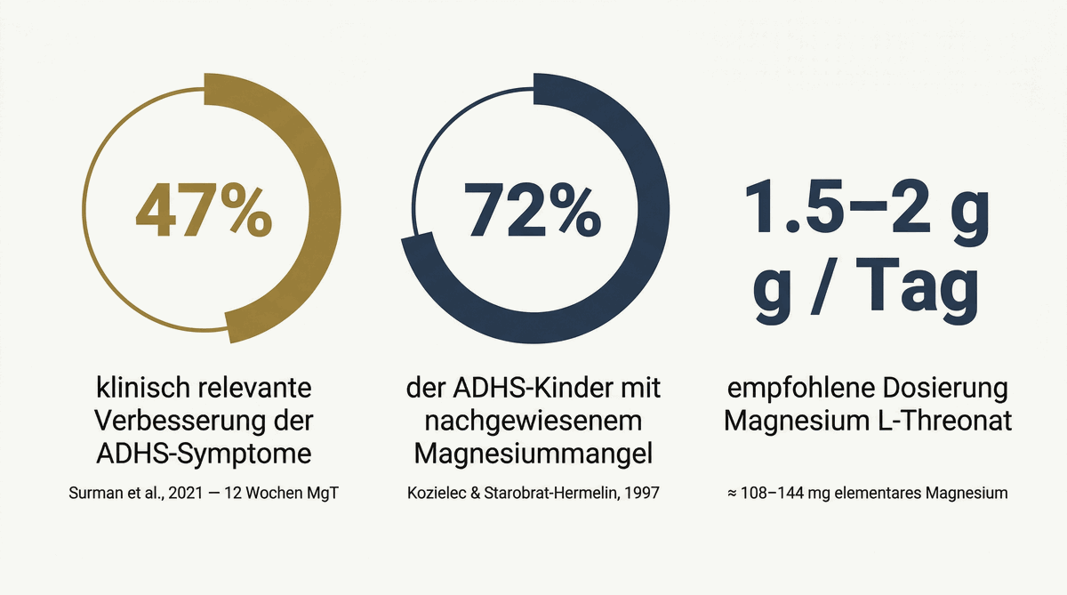 Infografik: Studienergebnisse zu Magnesium und ADHS. 47 % klinisch relevante Verbesserung der ADHS-Symptome (Surman et al., 2021), 72 % der ADHS-Kinder mit nachgewiesenem Magnesiummangel (Kozielec & Starobrat-Hermelin, 1997), empfohlene Dosierung 1,5–2 g pro Tag.