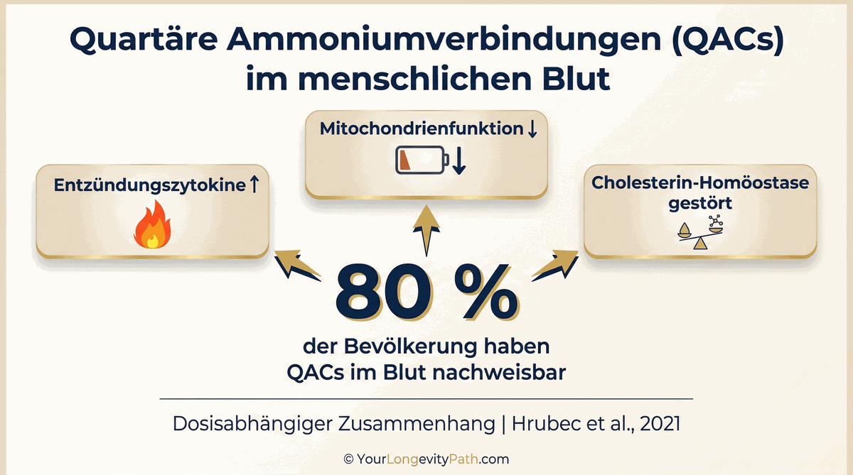 80 % der Bevölkerung haben QACs im Blut: Entzündungszytokine, Mitochondrienfunktion, Cholesterin