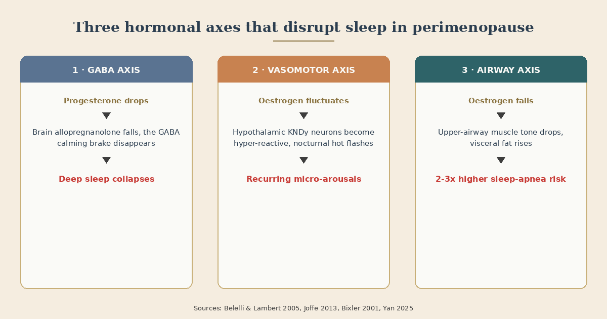 Infographic: Three hormonal axes that disrupt sleep in perimenopause. Axis one: progesterone drops, allopregnanolone in the brain drops, the body's calming brake fades, deep sleep breaks. Axis two: oestrogen fluctuates, heat regulation in the hypothalamus becomes unstable, nocturnal hot flashes, brief awakenings. Axis three: oestrogen falls, upper-airway muscle tone drops, visceral fat rises, sleep-apnea risk roughly doubles to triples.