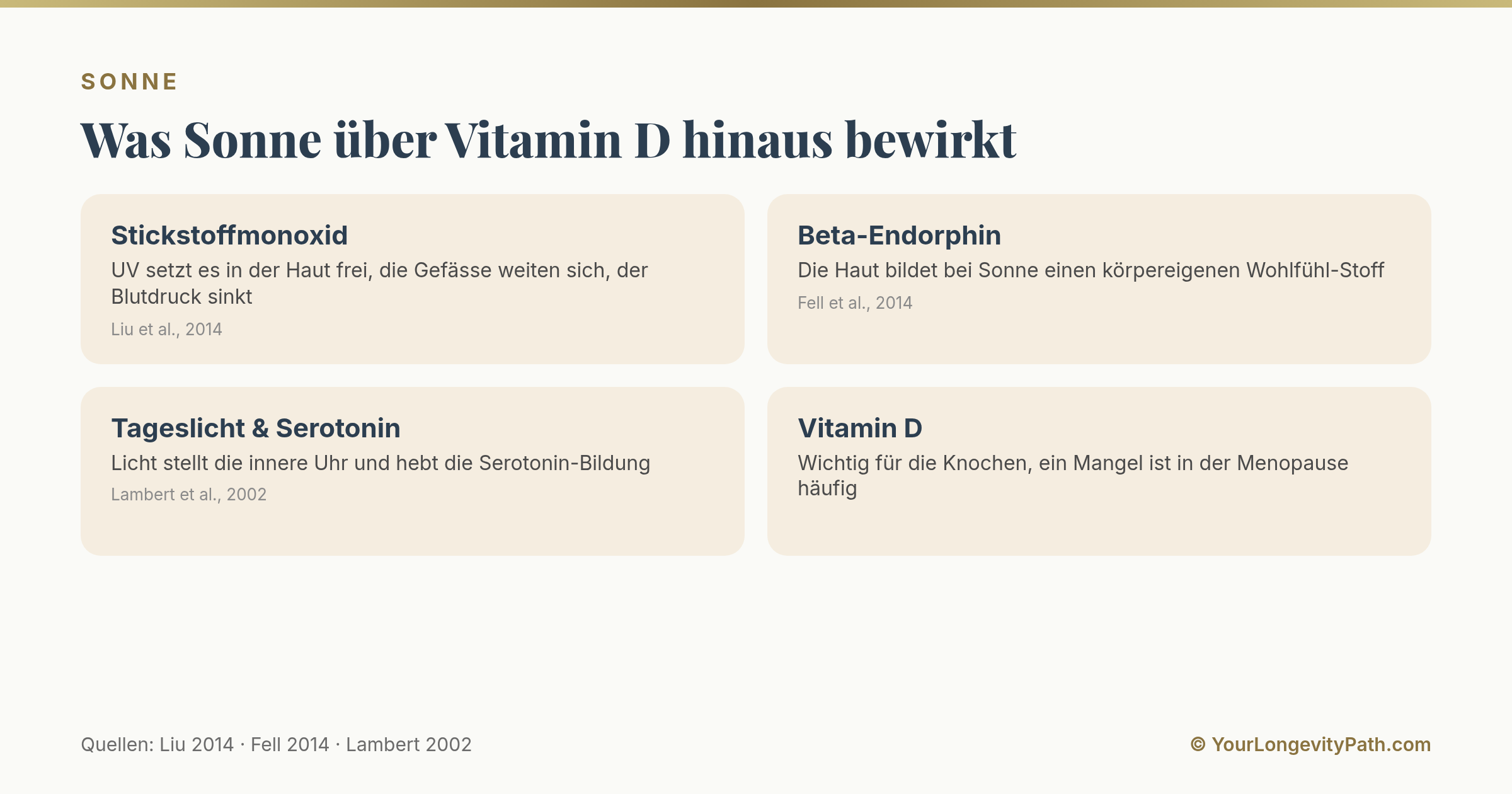Infografik: Vier Wirkungen von Sonne jenseits von Vitamin D, Stickstoffmonoxid senkt den Blutdruck, Beta-Endorphin hebt die Stimmung, Tageslicht steuert die innere Uhr und die Serotonin-Bildung.