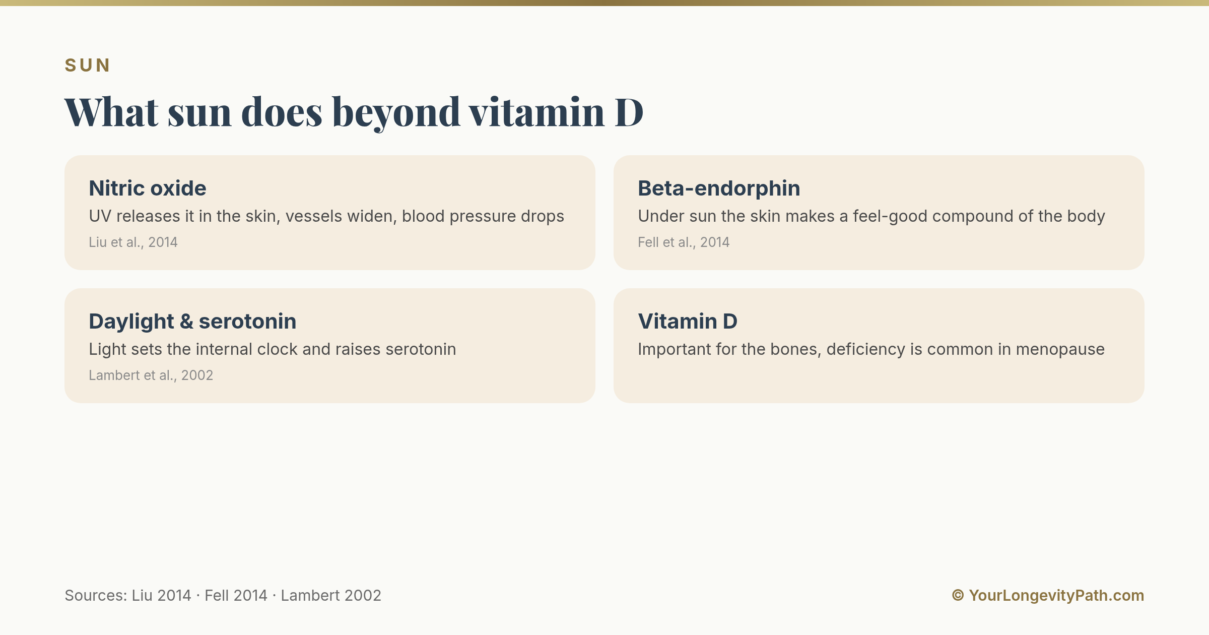 Infographic: Four effects of sun beyond vitamin D, nitric oxide lowers blood pressure, beta-endorphin lifts mood, daylight steers the internal clock and serotonin production.